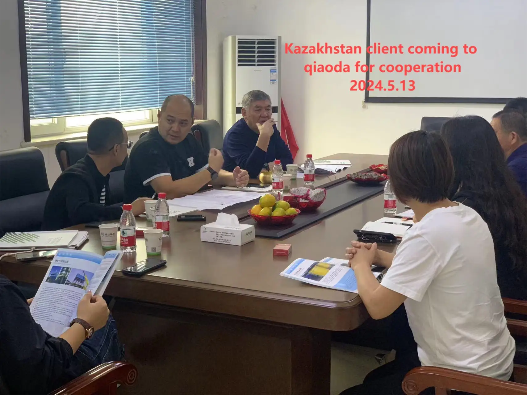 Mine Metal Pulse Bag Dust Collector Supplier Dedusting Equipment Bag Dust Extraction System Air Pulse Jet Collector Machine