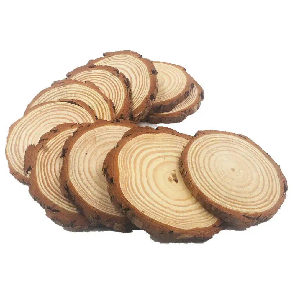 
Custom Natural Birch Wood Eco-Friendly Decorative Rustic Natural Unfinished Round Wood Slices For DIY Crafts 
