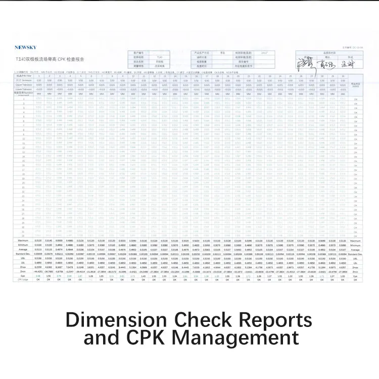 Newsky Dongguan Iso9001 Factory Free 3D Design Custom High Precision Sheet Metal Mold Press