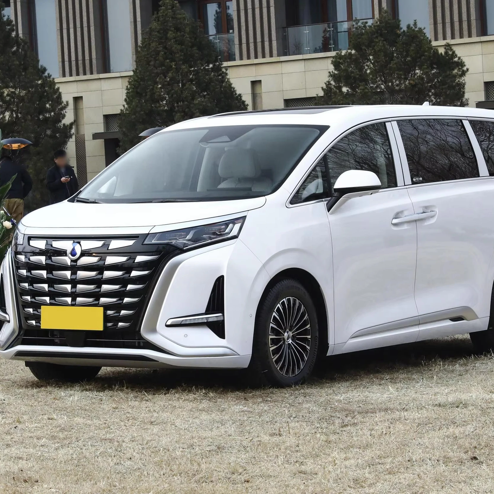 7-местный электрический автомобиль среднего и большого размера MPV D-enza D-9 Tengshi дальнего действия гибридный d-enza-D-9 ev