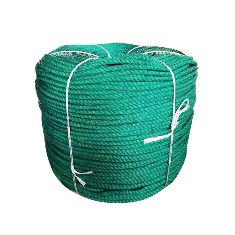 Factory Supply Blue Color 6mm/8mm Twisted Polyethylene Fishing/Packing Rope