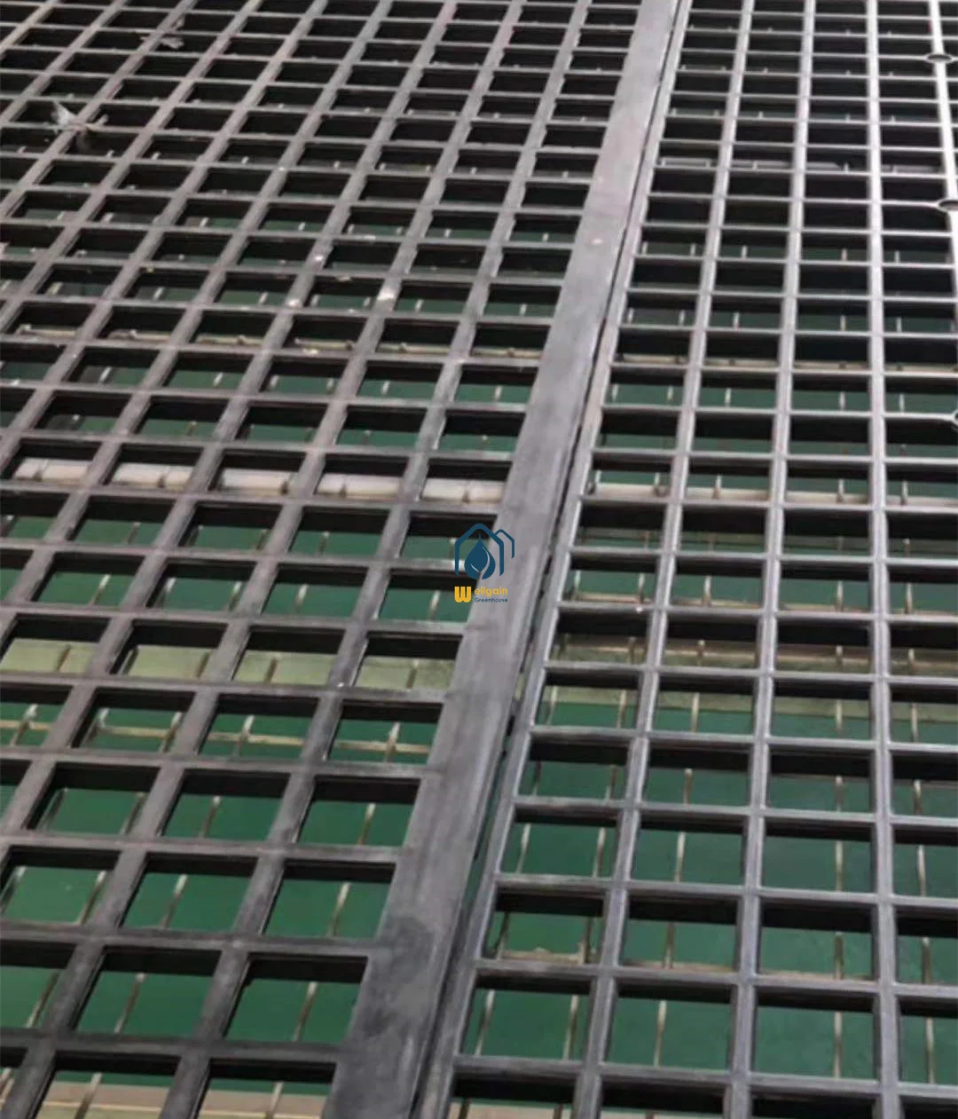 growing trays wholesale price agricultural glass greenhouse vertical farming system