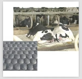 17mm 19mm 4ft 8ft cow rubber stable anti slip mat