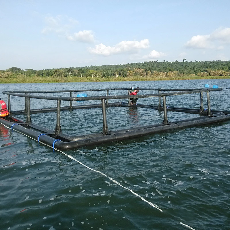 Hot Selling Tilapia Floating HDPE Small Round Sea Breeding Cage