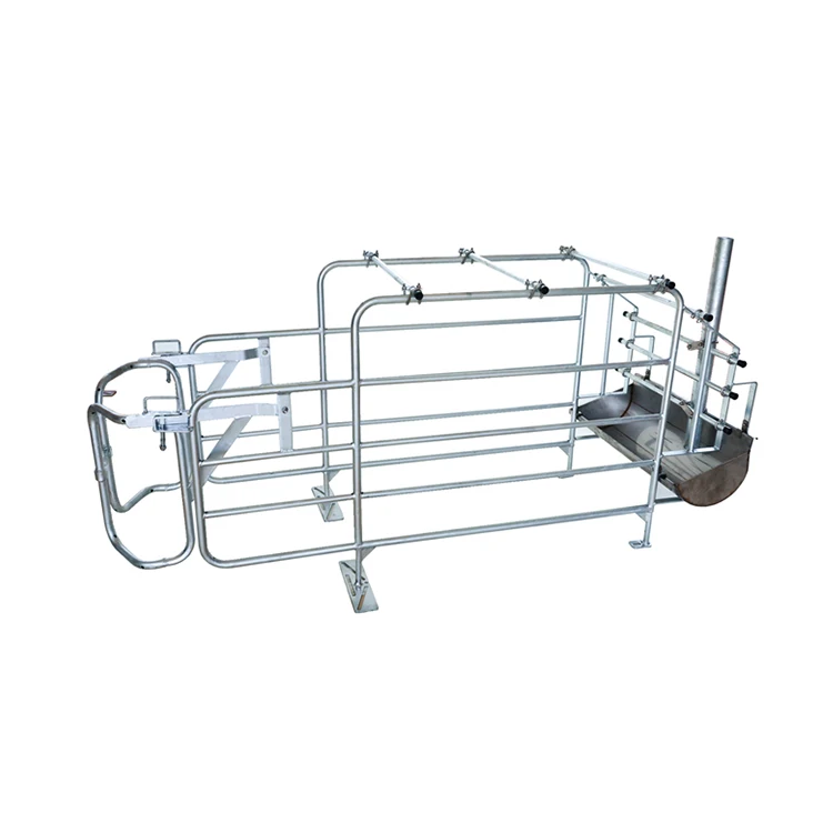 Wholesale Cheap Swine Farm Fattening Pig Cage Equipment Competitive Price Gestation Stall Sow Farrowing Hot Product 2021 1000