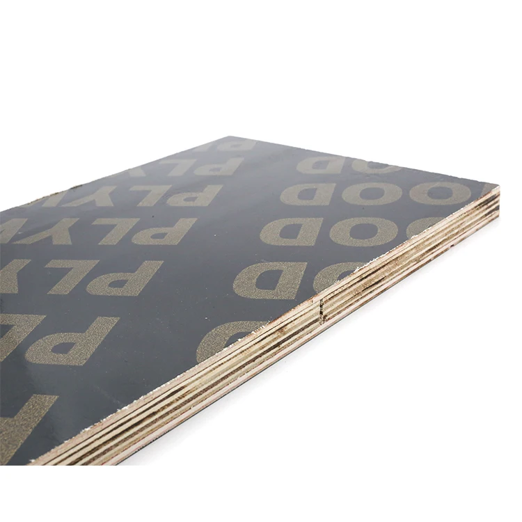Wholesale Price Poplar Plywood Biz Standard Film Faced