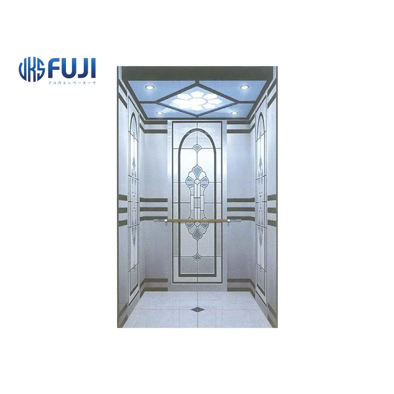 Simple Atmosphere Passenger 2 Person Mini VKS Fuji Elevator China Elevator For Stairs