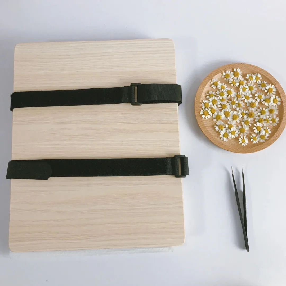 Professional Dried Flower Press Kit, Leaf Press 6 x 8 inch 5 Layers Nature Press Kit for Plant Specimen Collecting DIY Art