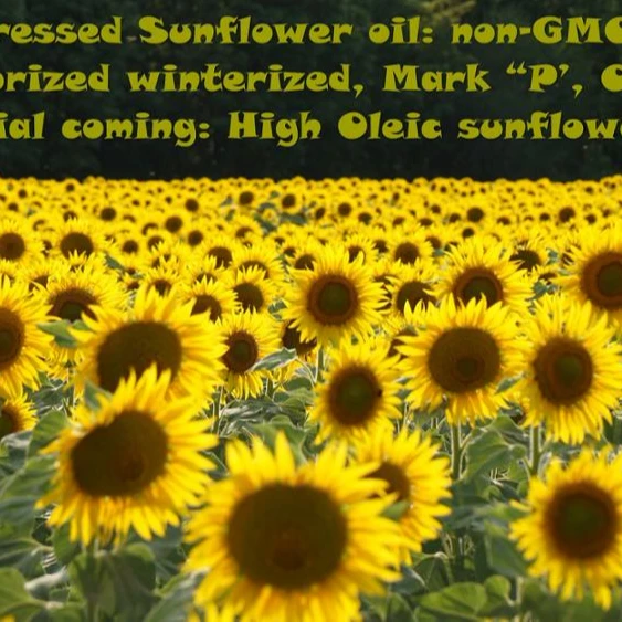 
Ukranian Crude sunflower oil (1st grade, degummed) 