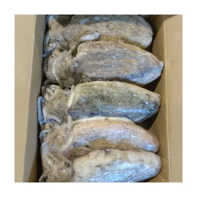 Замороженные каракатицы