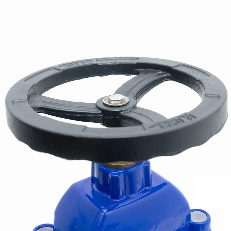 OEM MADE in CHINA DN50-DN600 General Application Flanged Gate Valve Cast Iron