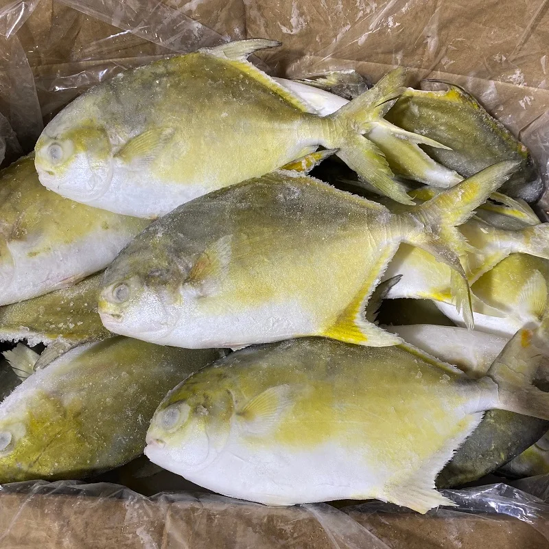 20% glazing iqf whole golden pomfret fish 300-400 g