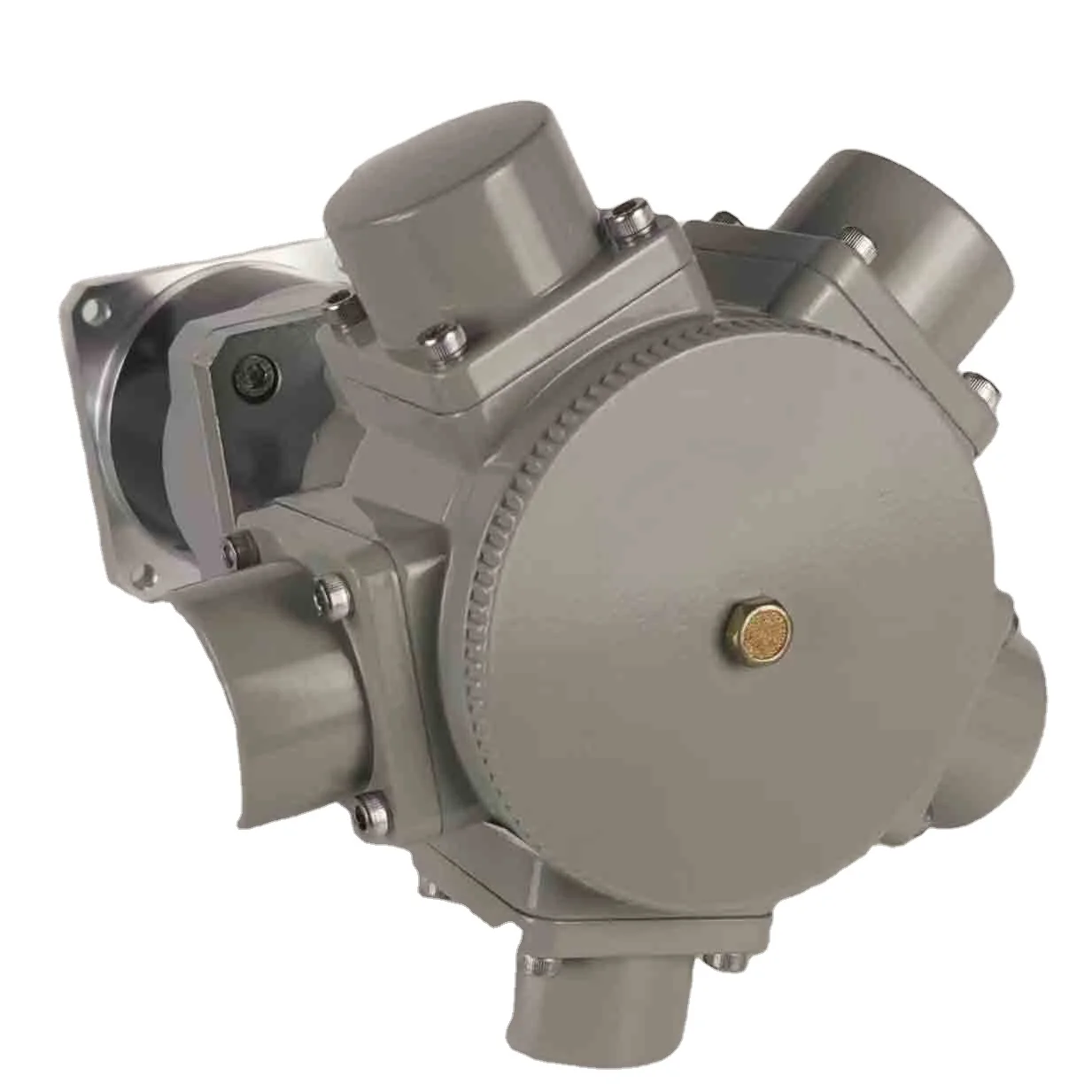 AM5 G1/5  5-cylinde pneumatic safety explosion-proof reduction motor,Air mixer agitator/air motor/pneumatic motor