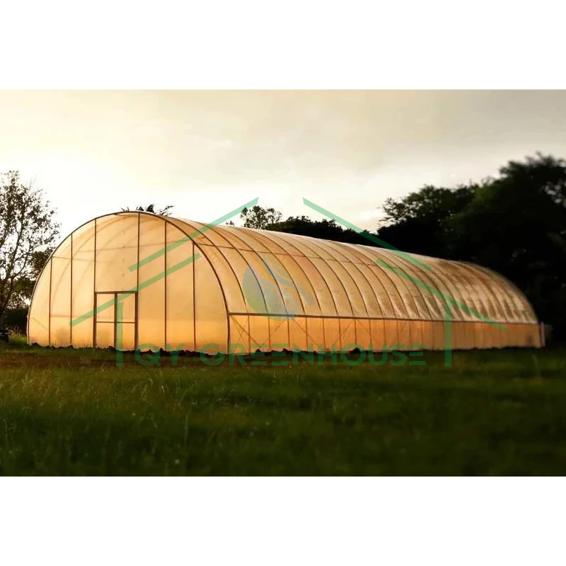 Factory Price Long Life PC Sheet Polycarbonate Tunnel Greenhouse  Agricultural Greenhouse for Commercial