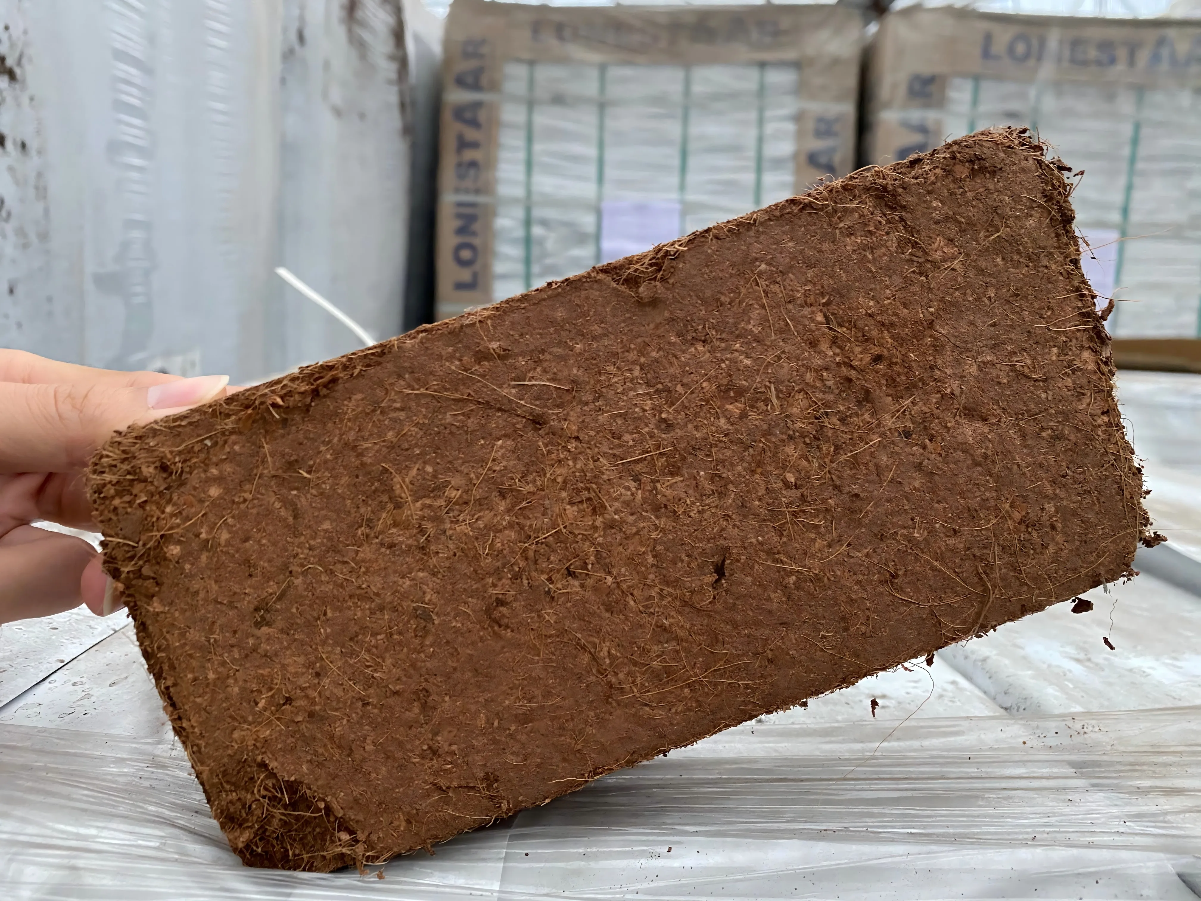 Hot Sale Coco Coir Coco Peat Low EC 650g Brick