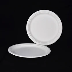 100% Biodegradable Disposable Sugarcane 3 Compartment Meal