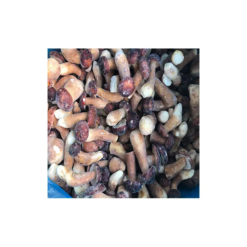 
Frozen boletus edulis 