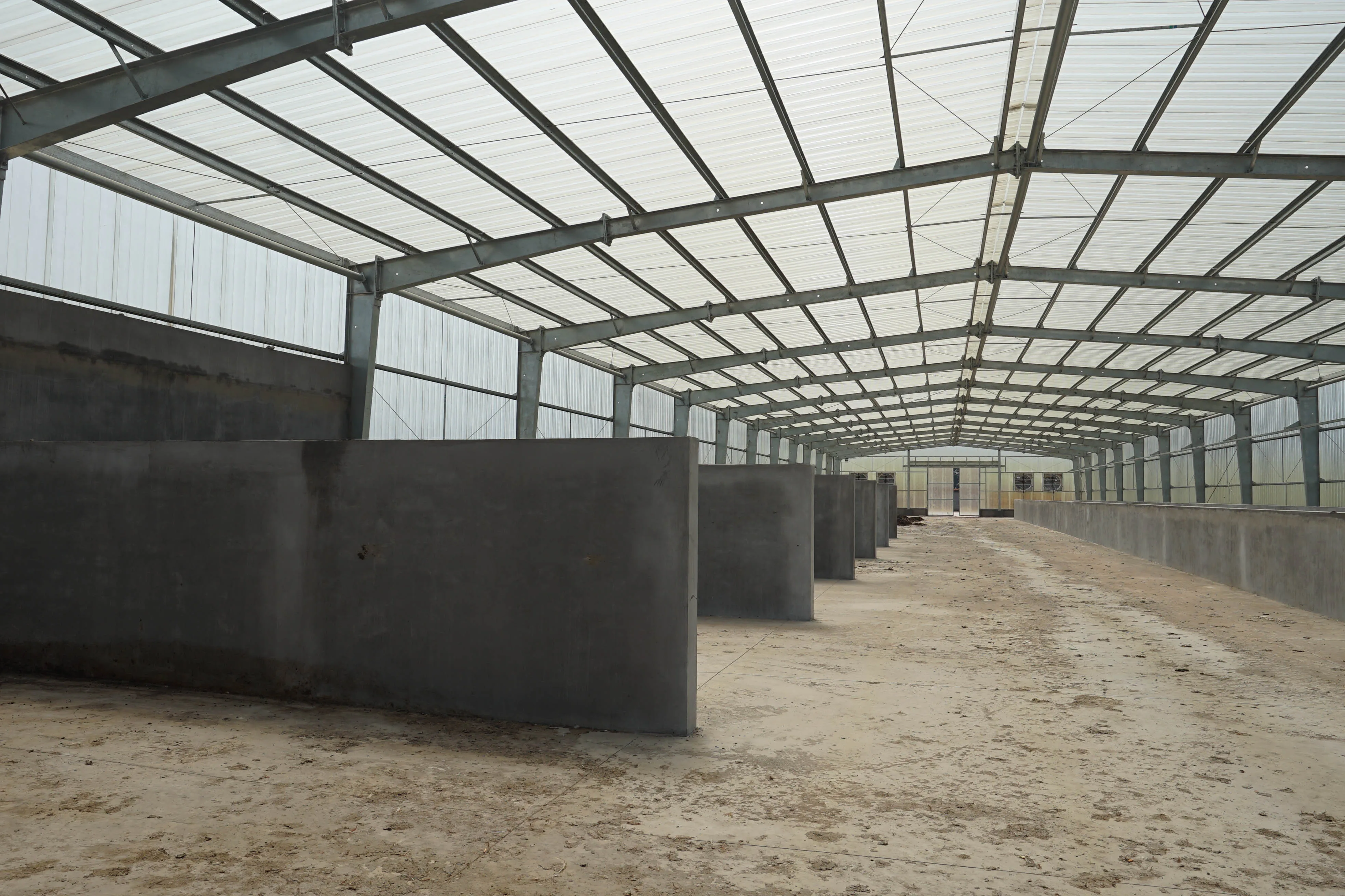 Automatic Poultry Cage Layer Poultry Farm  Automatic Battery Cage Automatic Poultry Layer  Equipment Jaula De Gallina Ponedora