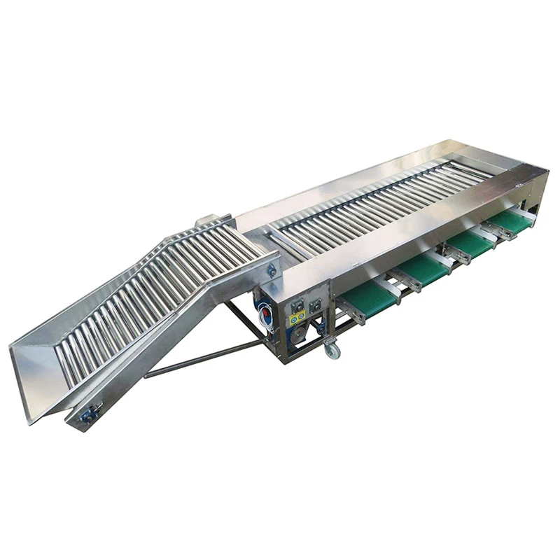 304 Stainless steel fruits grading machine pear sorting machine