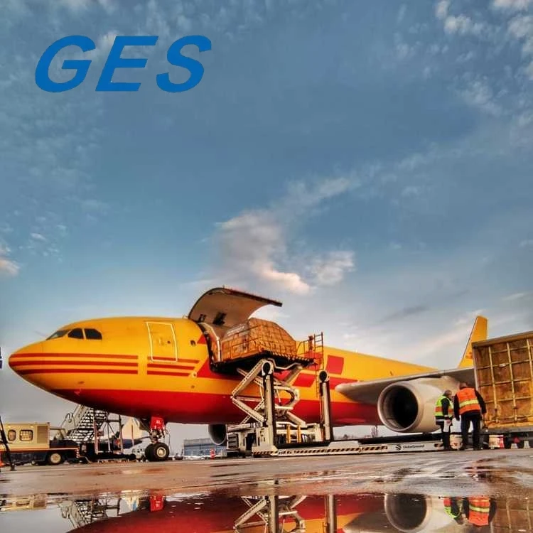 Free Door to Door DHL FEDEX UPS Express Sea Railway Air Shipping Agent China To Europe UAE USA south africa Freight Forwarder