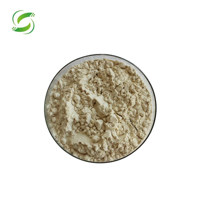 HIgh quality cold pressed hemp seed protein powder bulk price