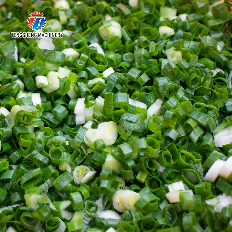 Table Vegetable Cutting Cutter Green Chilli Circles Scallion Cutting Machine with Conveyor Belt  (TS-Q30)