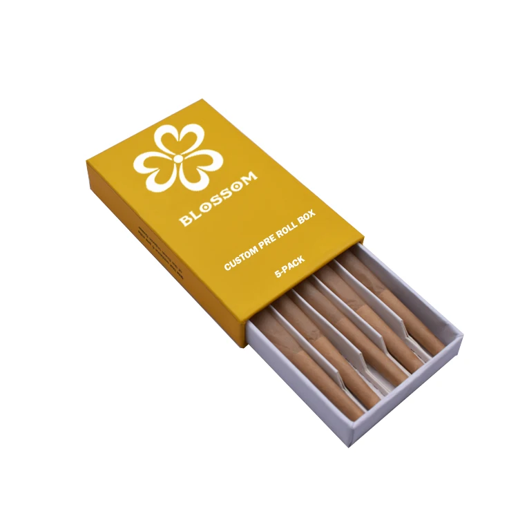 
2020 popular preroll packaging box child custom box preroll cones 