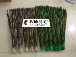 Factory Wholesale from ZPDECOR  150-160 cm Super Long  Natural Reeve Pheasant Tail Feathers for Carnival Costumes