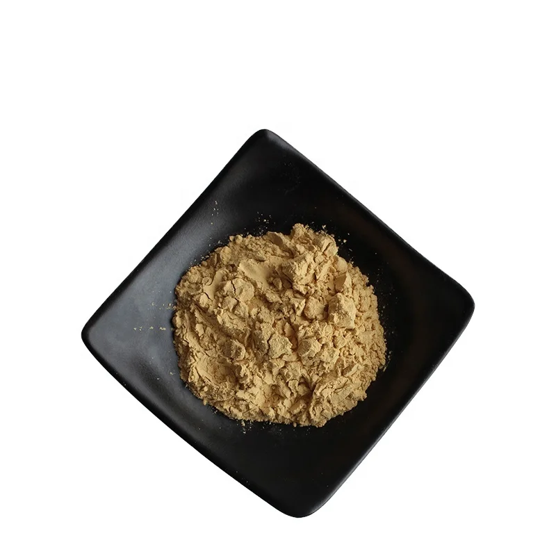 Factory Supply Organic Antrodia Camphorata Mushroom Extract