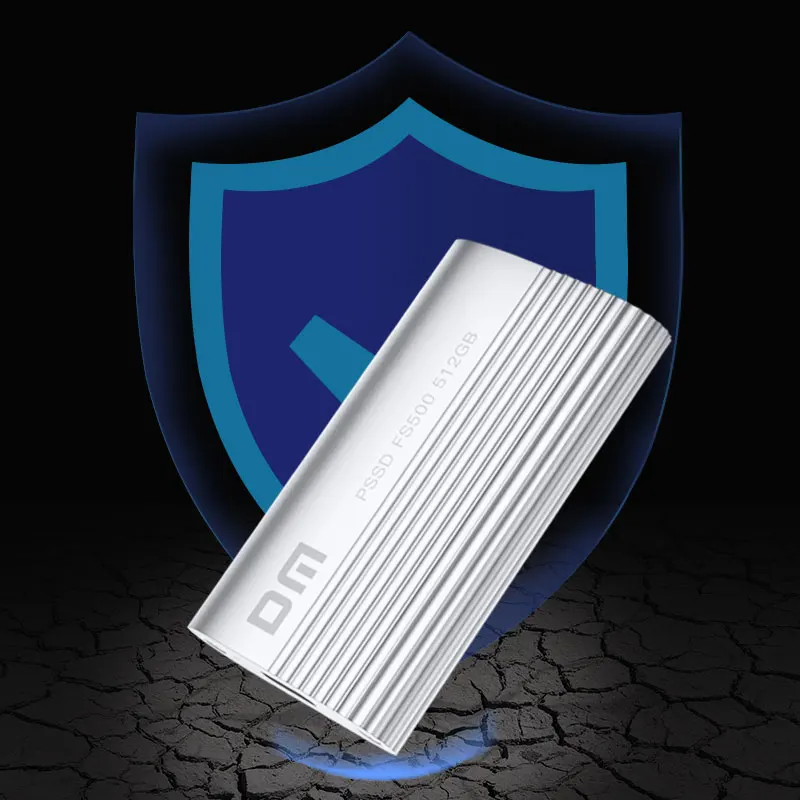 DM M.2 NGFF SSD Solid State SSD 256 gb 512GB 1TB Hard Drive FS500