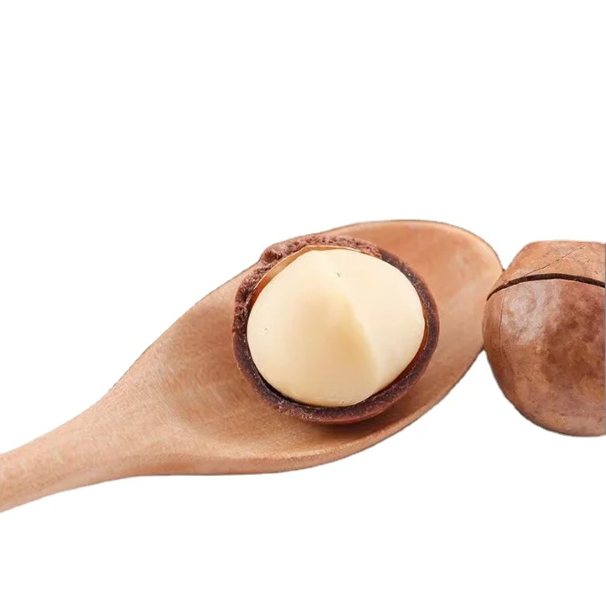 Roasted Macadamia Nuts Bulk Fresh Roasted Creamy Flavor Macadamia Wholesale