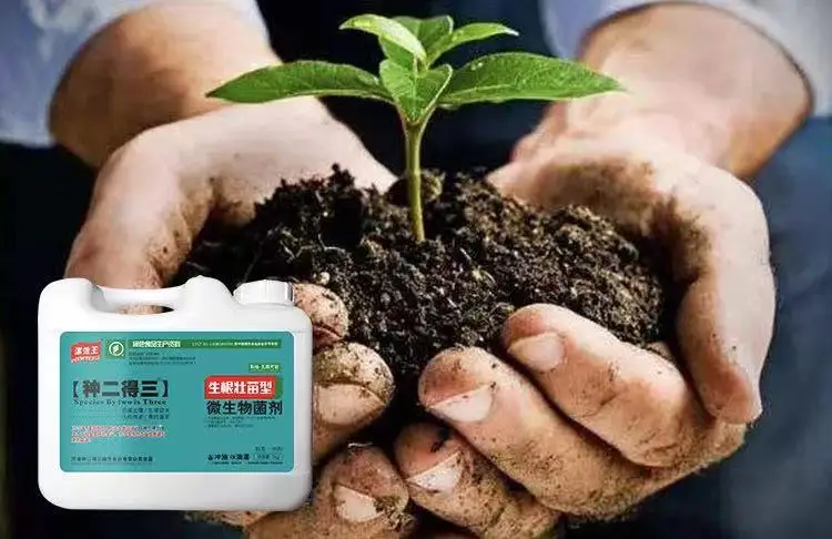 Lasting fertilizer effect fast delivery microbial agents flush drip irrigation fertilizer