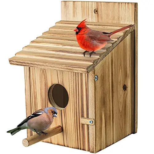 Custom carbonized pine solid wood feeding terrace outdoor sanctuary aviaries for birds aviary outdoor bird cage bird aviary