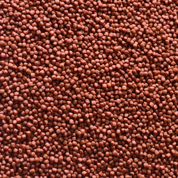 High quality  various specifications of cichlid feed for aquarium fish