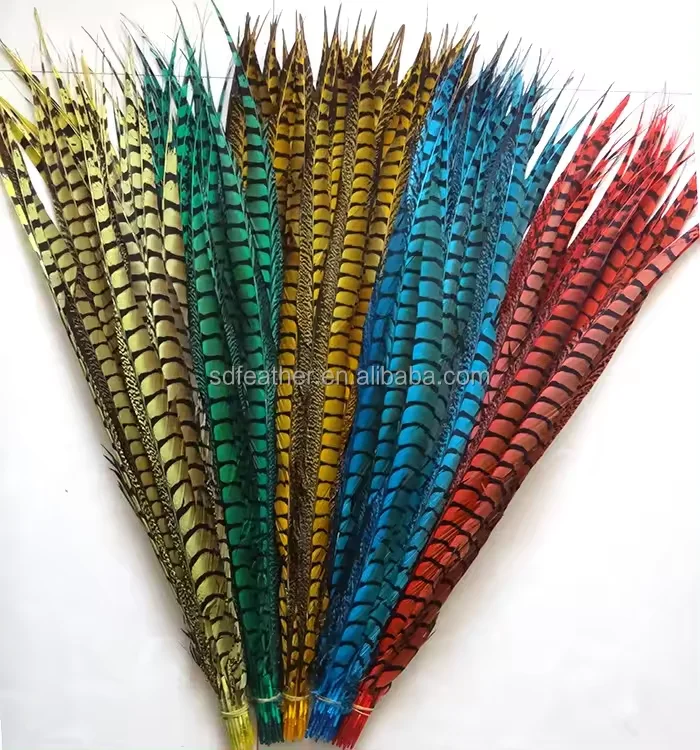 Lady Amherst Pheasant Feathers for Sale Large White Feathers Big Feathers