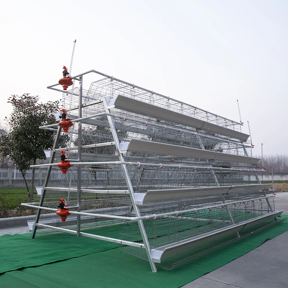 Layer Farm 3 Tier 4 Tier Laying Hens Chicken Cage Hen Egg Chicken Laying Cage For Sale