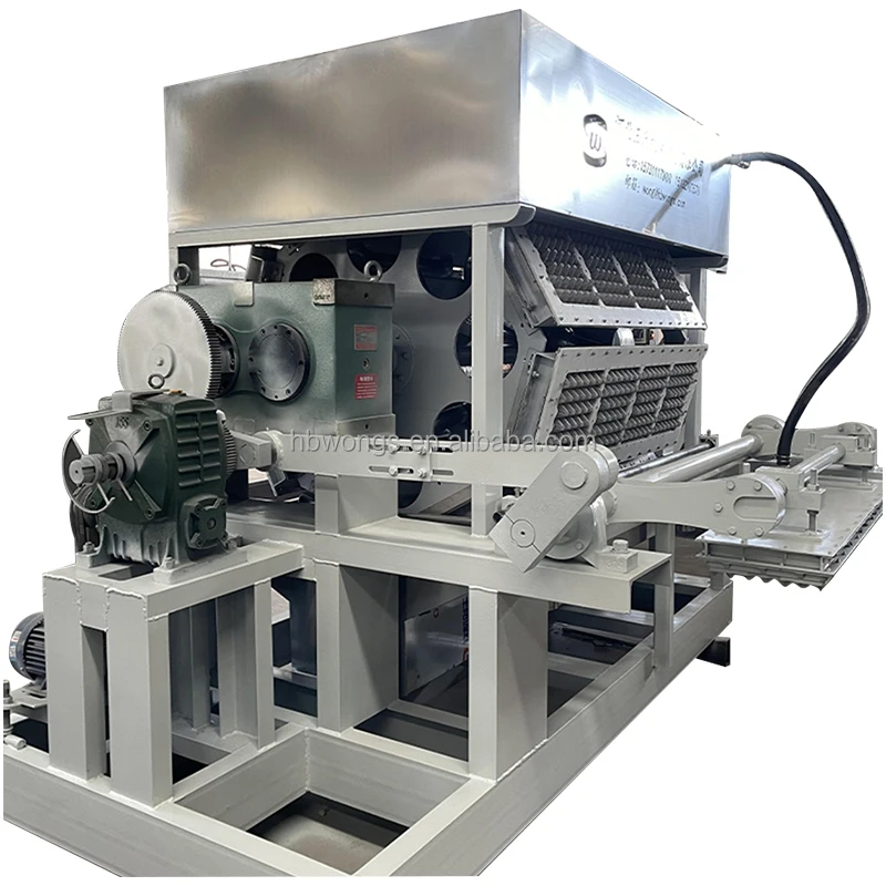 Высокое качество 5000 шт./час Автоматическая производственная линия для формования целлюлозы машина производства Яичных