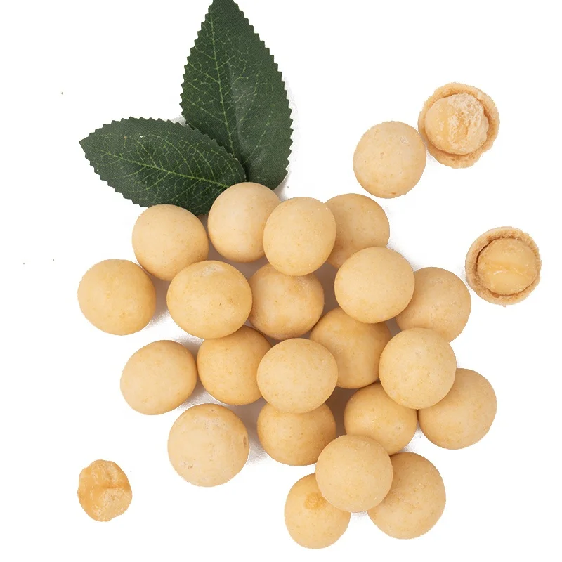 Macadamia nuts roasted raw macadamia wholesale top quality 100% Pure Natural Organic large size macadamia OEM service