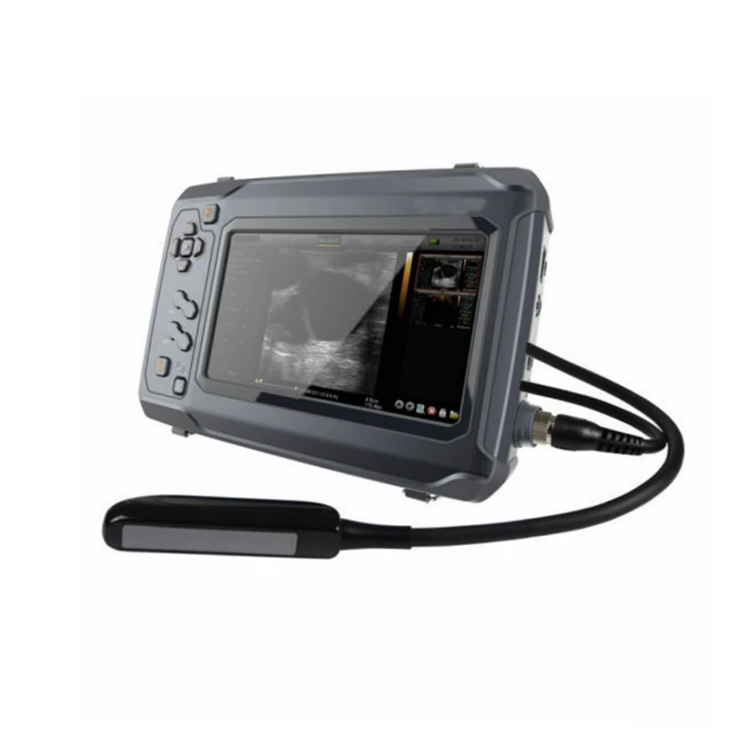 Крупного рогатого скота во время беременности Диагностика Ультразвуковое для крупного рогатого скота репродуктивного изображений