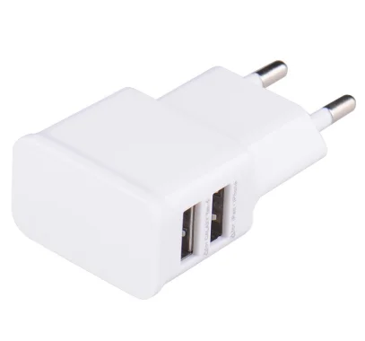 
5V 2A EU Plug Adapter USB Wall Charger For Samsung iphone Mobile Phone Charger For ipad Universal Travel AC Power Charger 