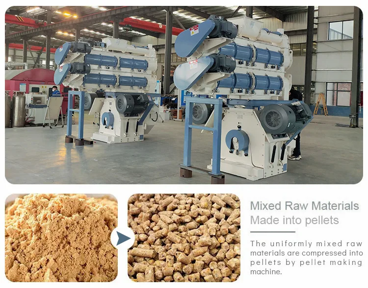 ring die pellet mill 04.jpg