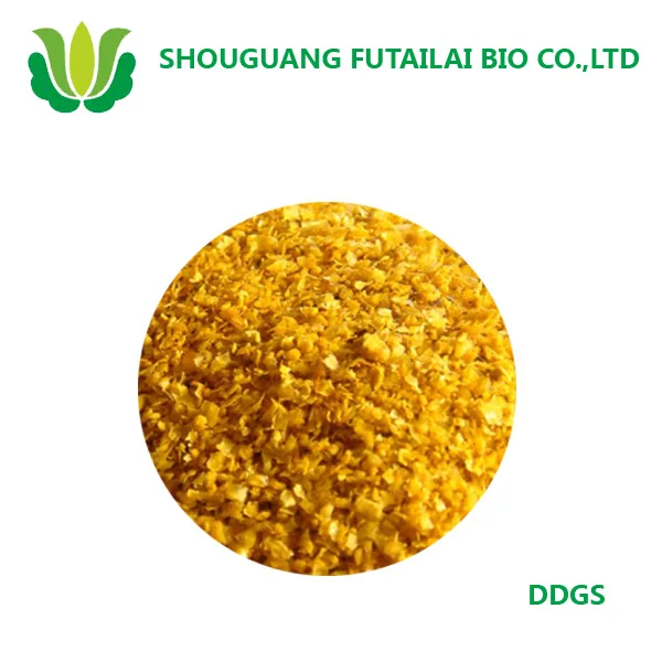 food grade animal feed yellow corn DDGS