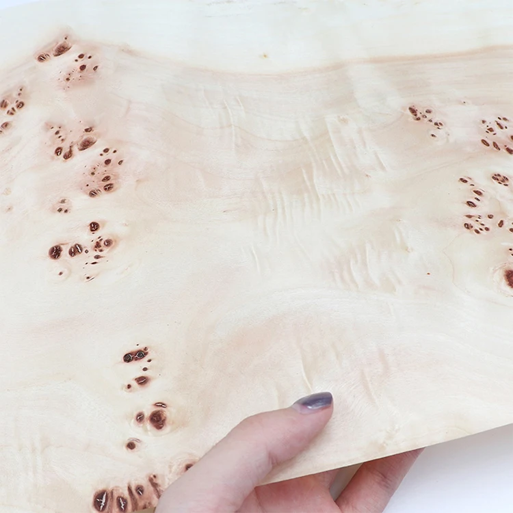 Customized Modern Design Maple Burl Veneer FSC Certified Natural Wood Veneer for Luxury Box furniture and doors