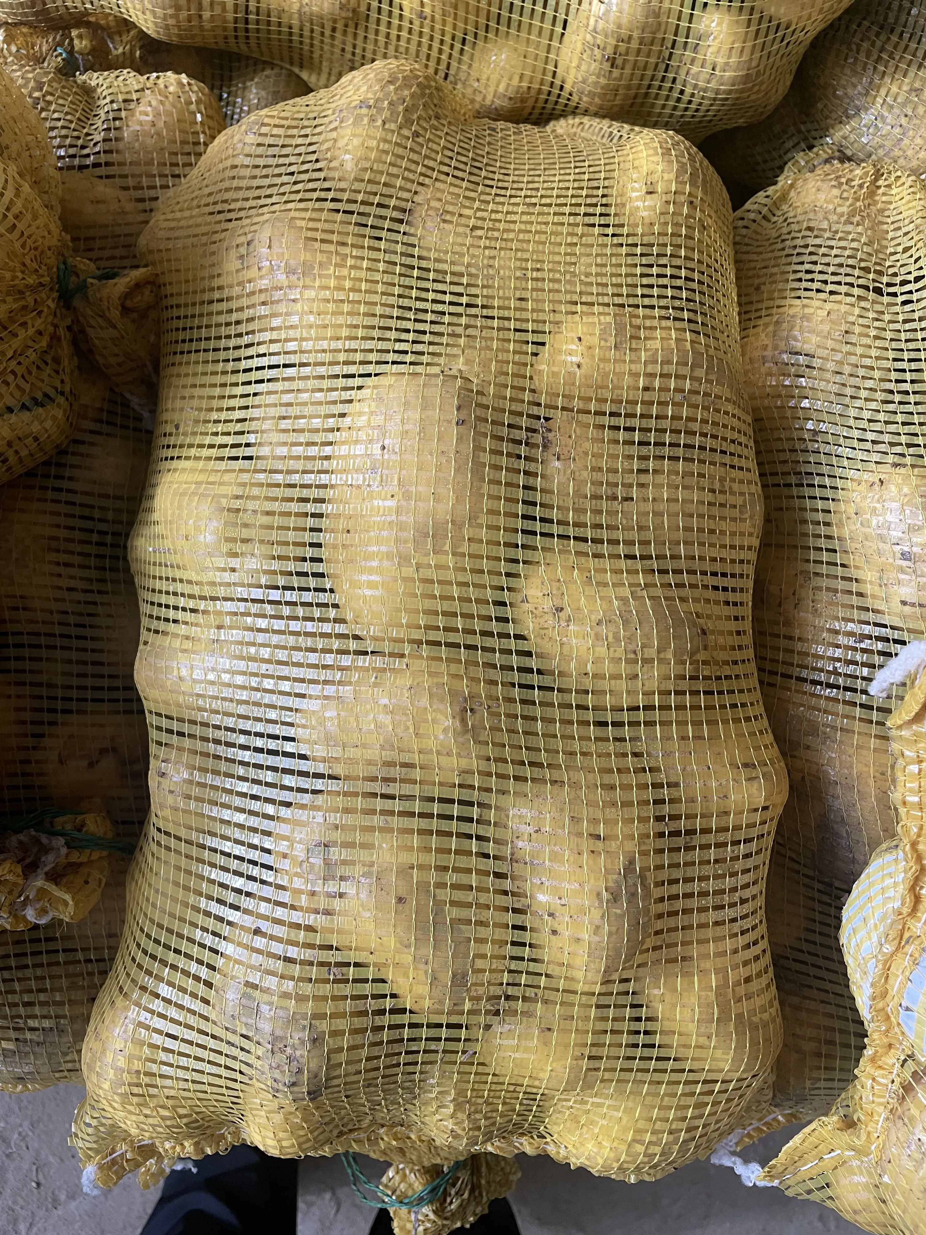 Chinese Fresh Potato Price per ton New Harvest Fresh Potato