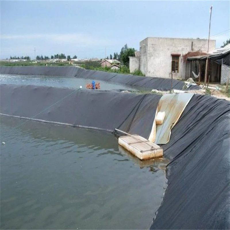 Hot Selling Cheap Custom Fabric Geomembrane Fish Production For Ponds/High Density HDPE Sheet Fish Farming Pond Liner