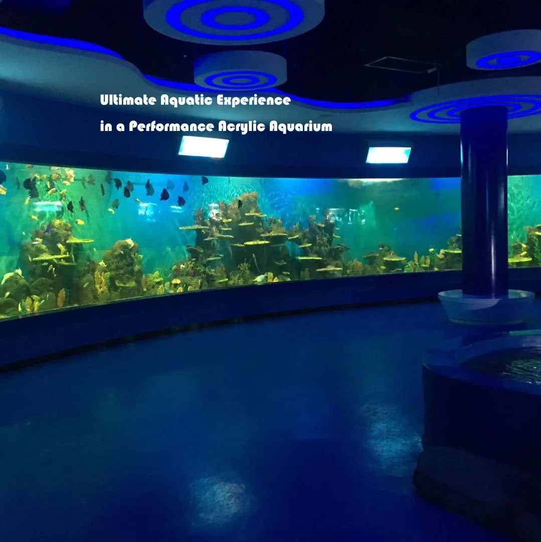 PG Acrylic Aquarium 16b.jpg