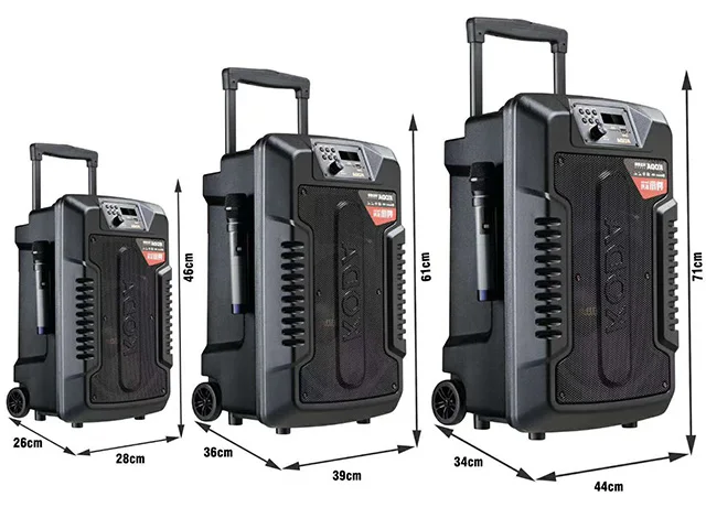 Led Light Control Tws Wireless Speakers Volume Usb 12/15 Inch Box Trolley with Mic Portable Speaker