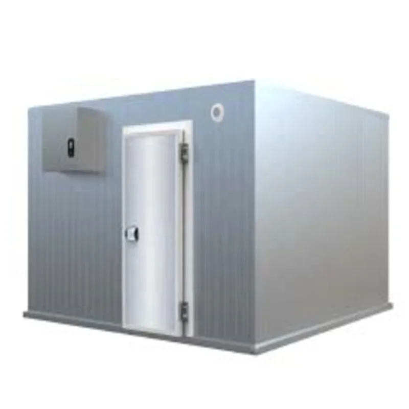 20ft Mobile Container Best Solar power cold storage room for fish meat vegetable