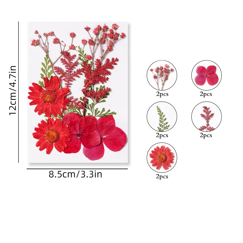 DIY Dried Real Pressed Flowers Pressed Dried Snow Bead Flowers for DIY Candle Resin Jewelry Nail Pendant