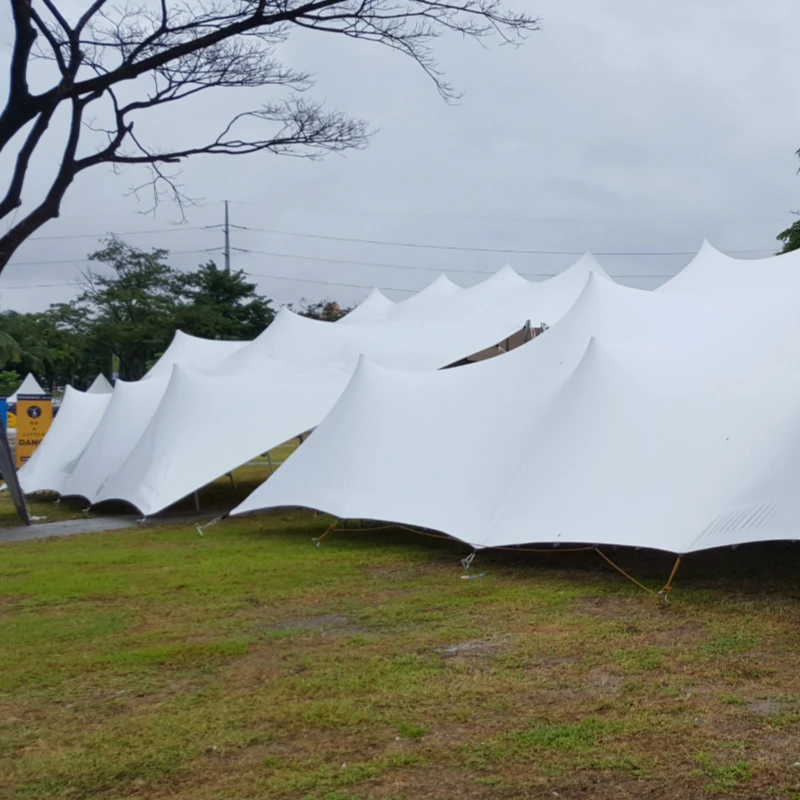 
Elastic 4 Way Stretch Waterproof And Fire Retardant Bedouin Stretch Tent Fabric 